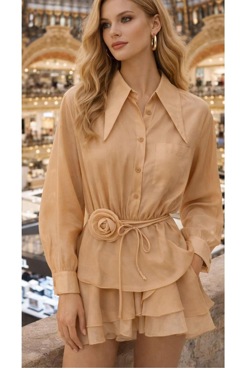 Pointed Collar Chiffon Dress with Rose Belt