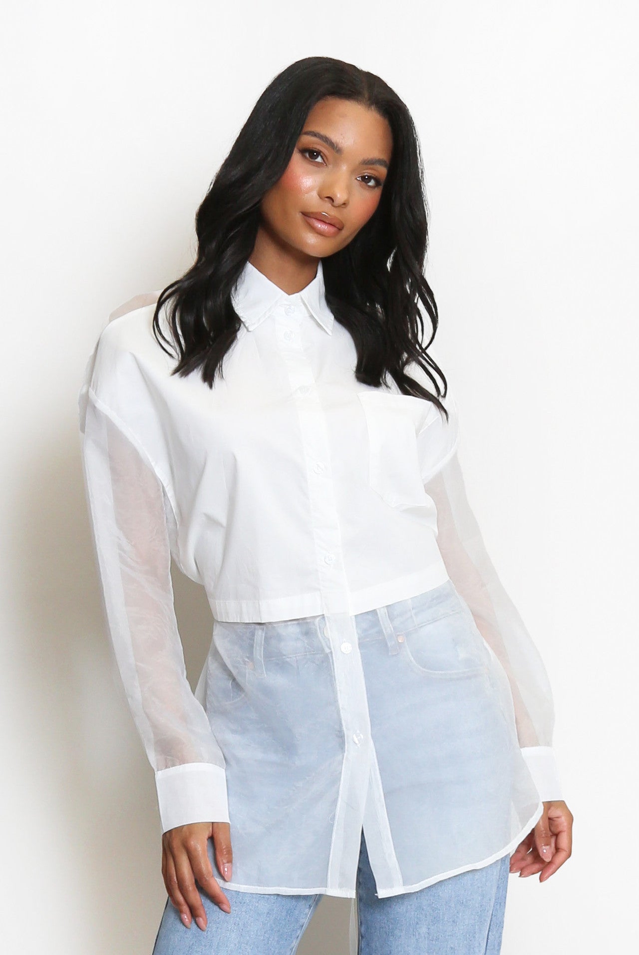 Sheer Hem Button Up Blouse